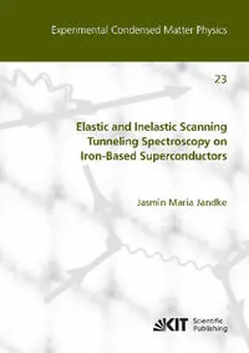 Jandke |  Elastic and Inelastic Scanning Tunneling Spectroscopy on Iron-Based Superconductors | Buch |  Sack Fachmedien