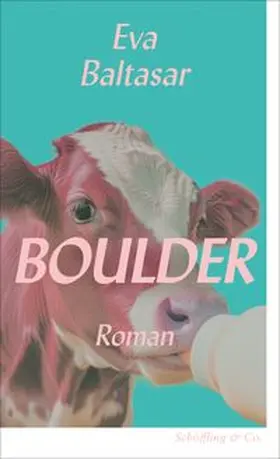 Baltasar |  Boulder | eBook | Sack Fachmedien