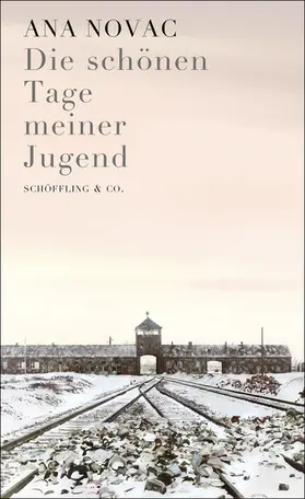 Novac |  Die schönen Tage meiner Jugend | eBook | Sack Fachmedien