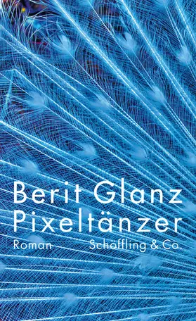 Glanz |  Pixeltänzer | eBook | Sack Fachmedien