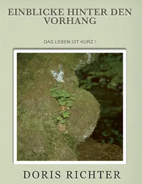 Richter |  Einblicke hinter den Vorhang | eBook | Sack Fachmedien