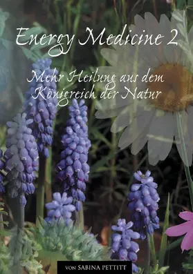 Pettitt / Sann |  Energy Medicine 2 | eBook | Sack Fachmedien