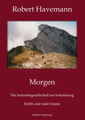 Havemann / Ferst |  Morgen | eBook | Sack Fachmedien