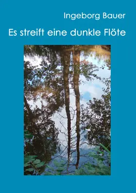 Bauer |  Es streift eine dunkle Flöte | eBook | Sack Fachmedien