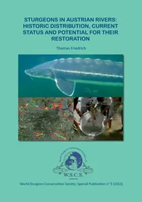 Friedrich |  Sturgeons in Austrian Rivers | Buch |  Sack Fachmedien