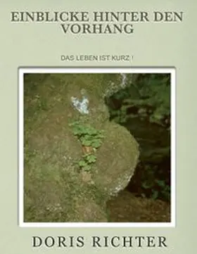 Richter | Einblicke hinter den Vorhang | Buch | 978-3-7322-7945-6 | www.sack.de