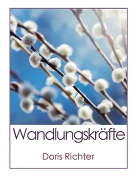 Richter |  Wandlungskräfte | Buch |  Sack Fachmedien