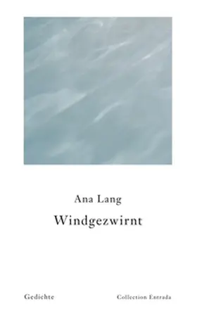 Lang |  Windgezwirnt | Buch |  Sack Fachmedien