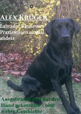 Krüger |  Ausgebrannt und auf den Hund gekommen - eine wahre Geschichte | Buch |  Sack Fachmedien