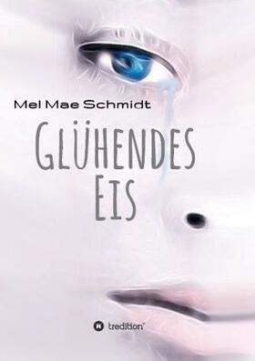 Schmidt |  Glühendes Eis | Buch |  Sack Fachmedien