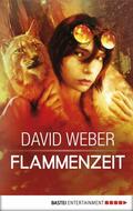 Weber |  Flammenzeit | eBook | Sack Fachmedien