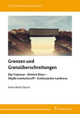 Sturm |  Grenzen und Grenzüberschreitungen | Buch |  Sack Fachmedien