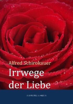 Schirokauer |  Irrwege der Liebe | eBook | Sack Fachmedien