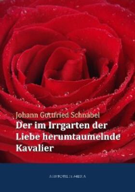Schnabel |  Der im Irrgarten der Liebe herumtaumelnde Kavalier | eBook | Sack Fachmedien