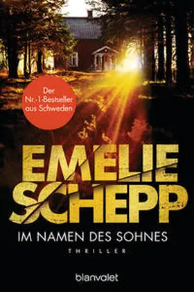 Schepp / Krummacher | Im Namen des Sohnes | Buch | 978-3-7341-0671-2 | www.sack.de