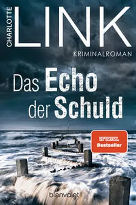 Link |  Das Echo der Schuld | Buch |  Sack Fachmedien