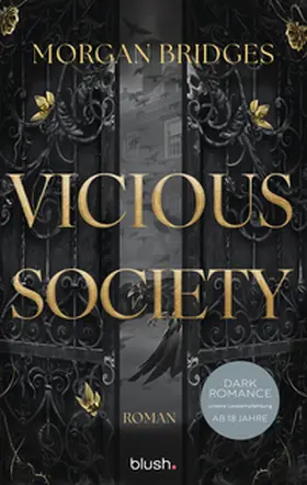 Bridges |  Vicious Society | Buch |  Sack Fachmedien
