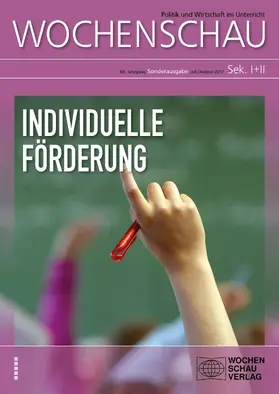Massing / Achour |  Individuelle Förderung | eBook | Sack Fachmedien