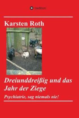 Roth | Dreiunddreißig und das Jahr der Ziege | Buch | 978-3-7345-1643-6 | sack.de