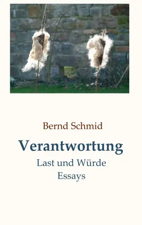 Schmid |  Verantwortung | Buch |  Sack Fachmedien