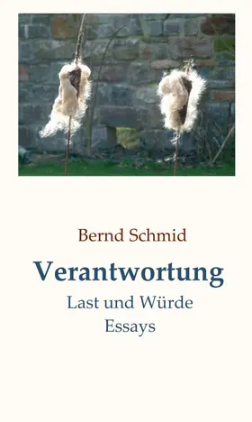 Schmid |  Verantwortung | Buch |  Sack Fachmedien