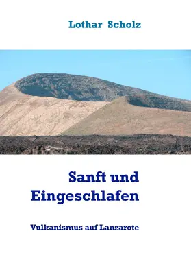 Scholz |  Sanft und Eingeschlafen | eBook | Sack Fachmedien