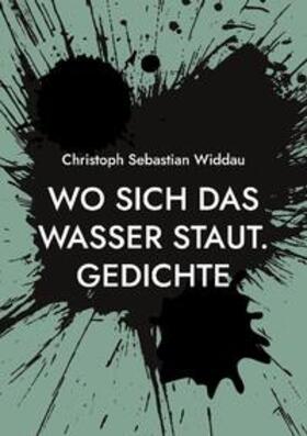 Widdau | Wo sich das Wasser staut | Buch | 978-3-7347-1698-0 | sack.de