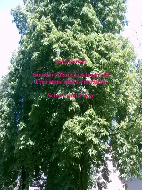 Becker |  Standortbilanz Lesebogen 30 Freiräume und Grünräume | eBook | Sack Fachmedien