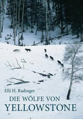 Radinger |  Die Wölfe von Yellowstone | Buch |  Sack Fachmedien