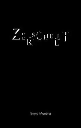 Moebius |  Zerschellt | Buch |  Sack Fachmedien
