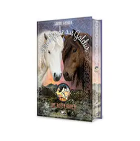 Giebken |  Die Pferde aus Galdur - Die roten Runen | Buch |  Sack Fachmedien