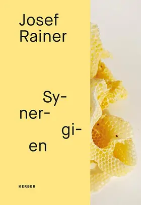 Guidi / Basteri / Rainer |  Josef Rainer | Buch |  Sack Fachmedien