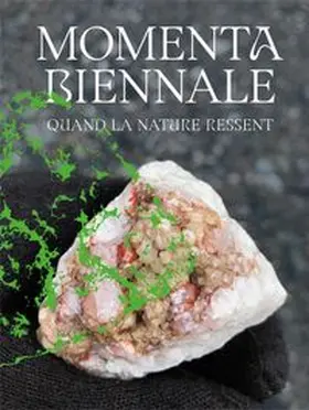  MOMENTA Biennale de l’image | Buch |  Sack Fachmedien