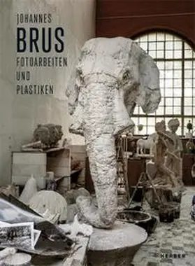  Johannes Brus | Buch |  Sack Fachmedien