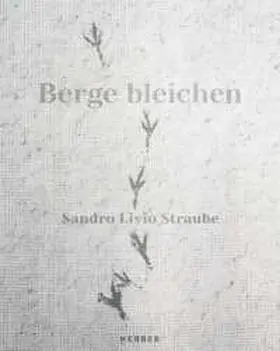 Deutsch, Englisch, Rätoromanisch und Schweizerdeutsch |  Sandro Livio Straube | Buch |  Sack Fachmedien