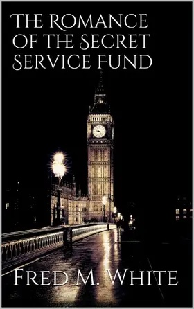 White |  The Romance of the Secret Service Fund | eBook | Sack Fachmedien