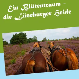Köhler |  Ein Blütentraum - die Lüneburger Heide | eBook | Sack Fachmedien