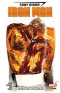 Slott |  Tony Stark: Iron Man 2 - Identitätskrise | eBook | Sack Fachmedien