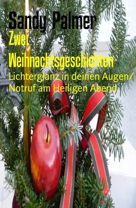 Palmer |  Zwei Weihnachtsgeschichten | eBook | Sack Fachmedien