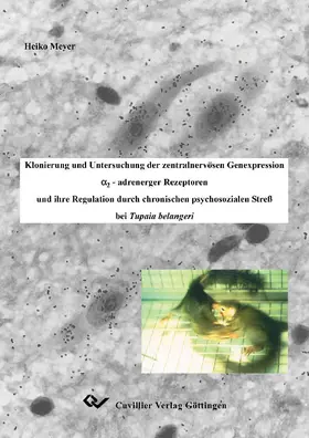 Meyer |  Klonierung und Untersuchung der zentralnervösen Genexpression a2-adrenerger Rezeptoren und ihre Regulation durch chronischen psychosozialen Streß bei Tupaia belangeri | eBook | Sack Fachmedien