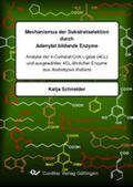 Schneider |  Mechanismus der Substratselektion durch Adenylat bildende Enzyme: | eBook | Sack Fachmedien