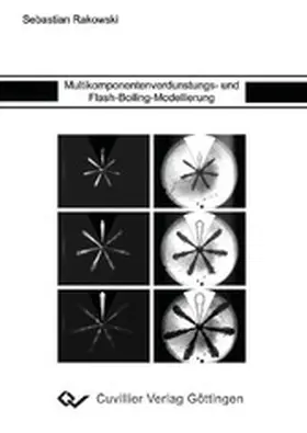 Rakowski |  Multikomponentenverdunstungs- und Flash-Boiling-Modellierung | eBook | Sack Fachmedien