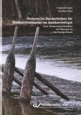 Kain / Idam |  Historische Bautechniken für Wildbachverbauten im Salzkammergut | eBook | Sack Fachmedien