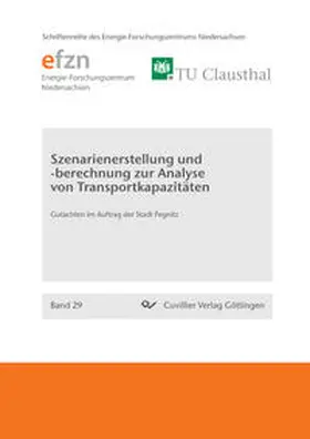 Beck |  Szenarienerstellung und -berechnung zur Analyse von Transportkapazitäten. Gutachten im Auftrag der Stadt Pegnitz | Buch |  Sack Fachmedien