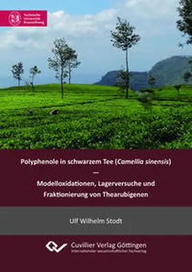Stodt |  Polyphenole in schwarzem Tee (Camellia sinensis) - Modelloxidationen, Lagerversuche und Fraktionierung von Thearubigenen | Buch |  Sack Fachmedien