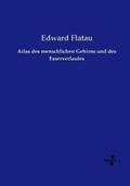 Flatau |  Atlas des menschlichen Gehirns und des Faserverlaufes | Buch |  Sack Fachmedien