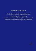 Schmidt |  Die Pyelonephritis in anatomischer und bakteriologischer Beziehung | Buch |  Sack Fachmedien