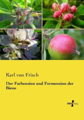 Frisch |  Der Farbensinn und Formensinn der Biene | Buch |  Sack Fachmedien