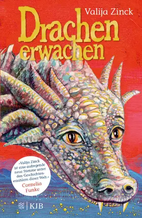 Zinck |  Drachenerwachen | Buch |  Sack Fachmedien