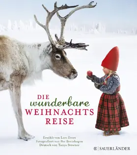 Evert |  Die wunderbare Weihnachtsreise | Buch |  Sack Fachmedien